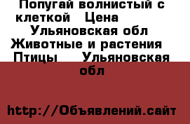 Попугай волнистый с клеткой › Цена ­ 1 600 - Ульяновская обл. Животные и растения » Птицы   . Ульяновская обл.